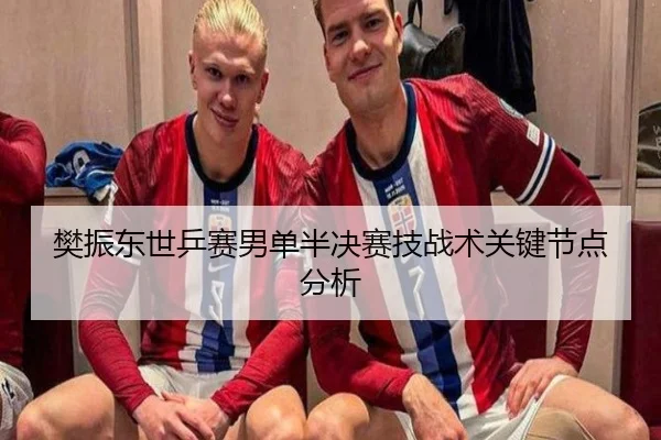 樊振东世乒赛男单半决赛技战术关键节点分析